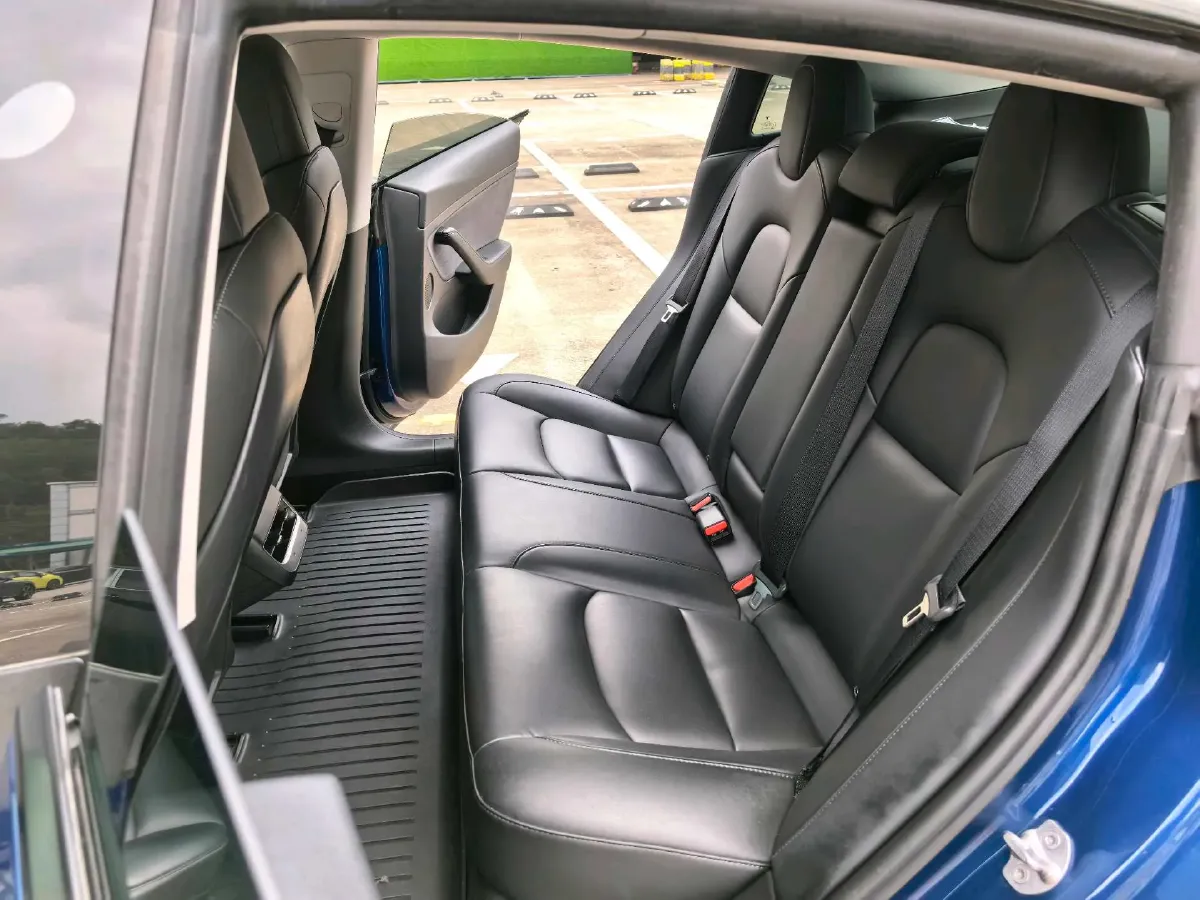 2021 Tesla Model 3 BEV 55KWH,autocango,china used car exporter,china ev exporter,chinese used car exporter,chinese used ev exporter