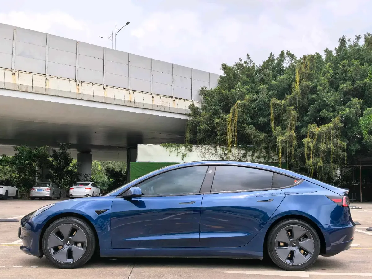 2021 Tesla Model 3 BEV 55KWH,autocango,china used car exporter,china ev exporter,chinese used car exporter,chinese used ev exporter