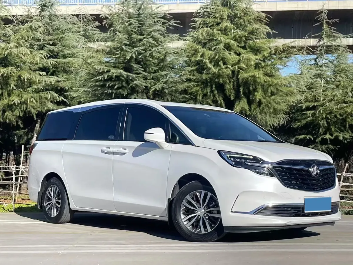 2021 Buick GL8 2.0T 237HP L4 9AT,autocango,china used car exporter,china ev exporter,chinese used car exporter,chinese used ev exporter