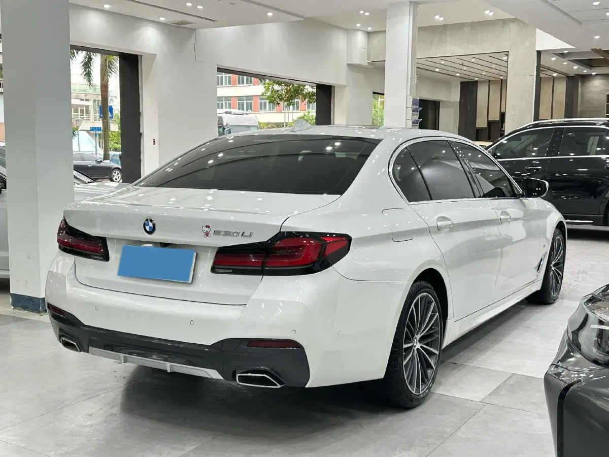 2021 BMW 5 Series 2.0T 252HP L4 8AT,autocango,china used car exporter,china ev exporter,chinese used car exporter,chinese used ev exporter