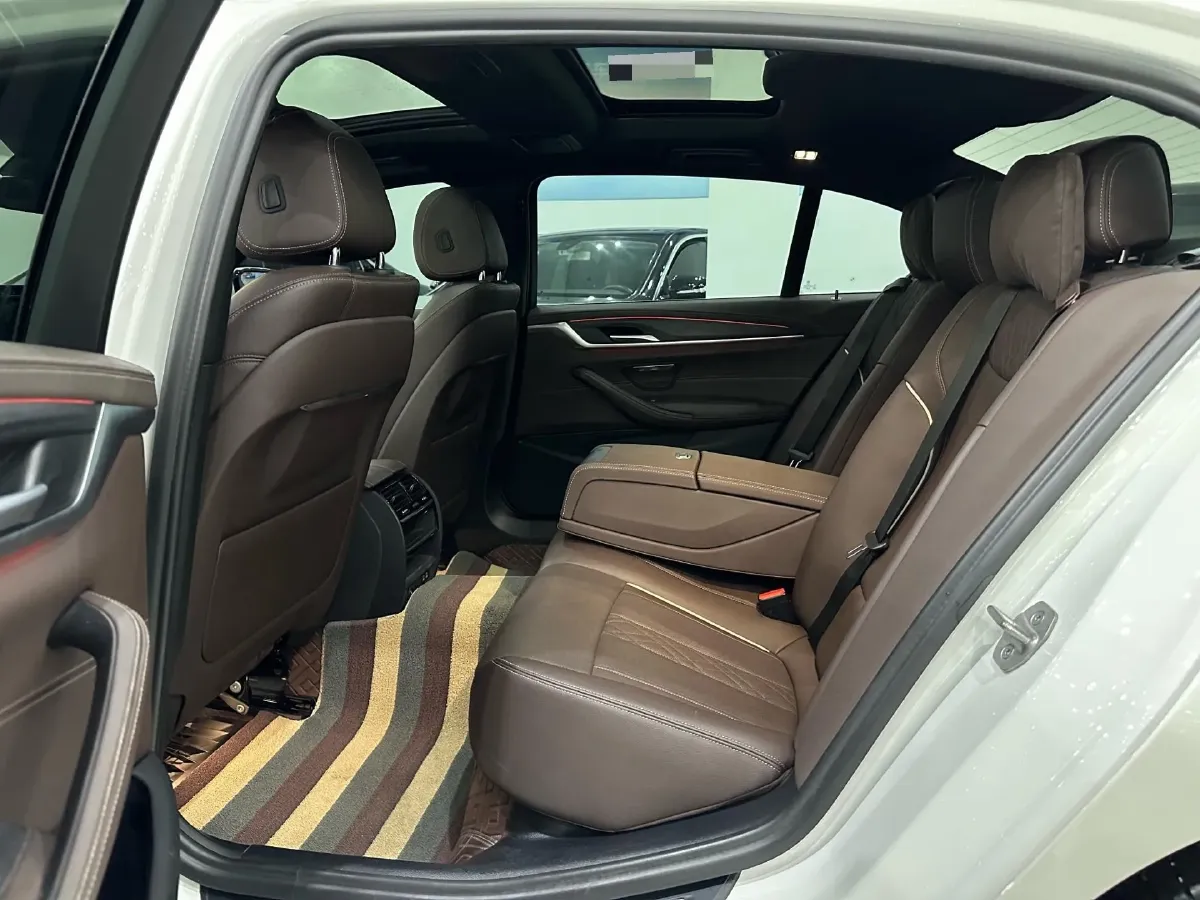 2021 BMW 5 Series 2.0T 252HP L4 8AT,autocango,china used car exporter,china ev exporter,chinese used car exporter,chinese used ev exporter