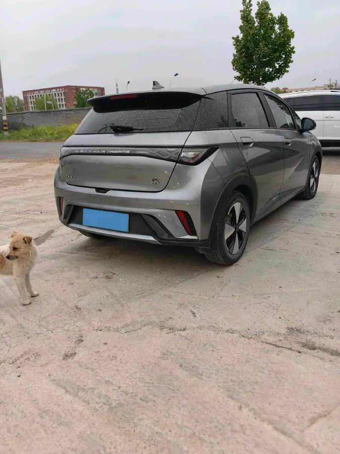 2023 BYD Dolphin BEV 44.928KWH,autocango,china used car exporter,china ev exporter,chinese used car exporter,chinese used ev exporter