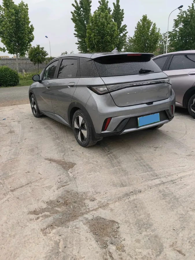 2023 BYD Dolphin BEV 44.928KWH,autocango,china used car exporter,china ev exporter,chinese used car exporter,chinese used ev exporter