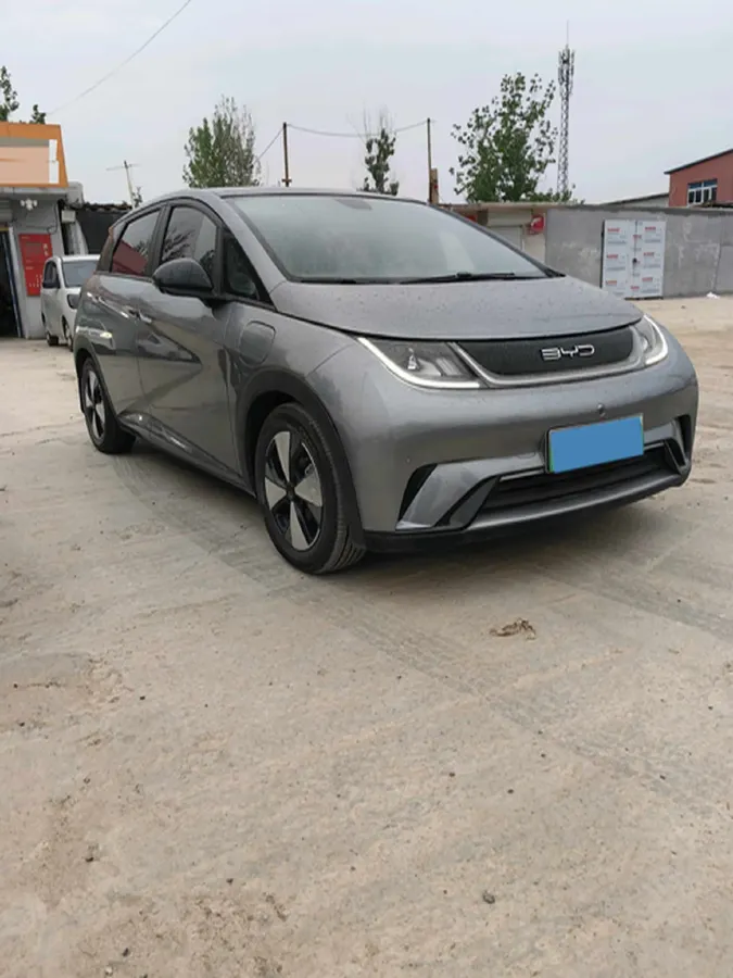2023 BYD Dolphin BEV 44.928KWH,autocango,china used car exporter,china ev exporter,chinese used car exporter,chinese used ev exporter