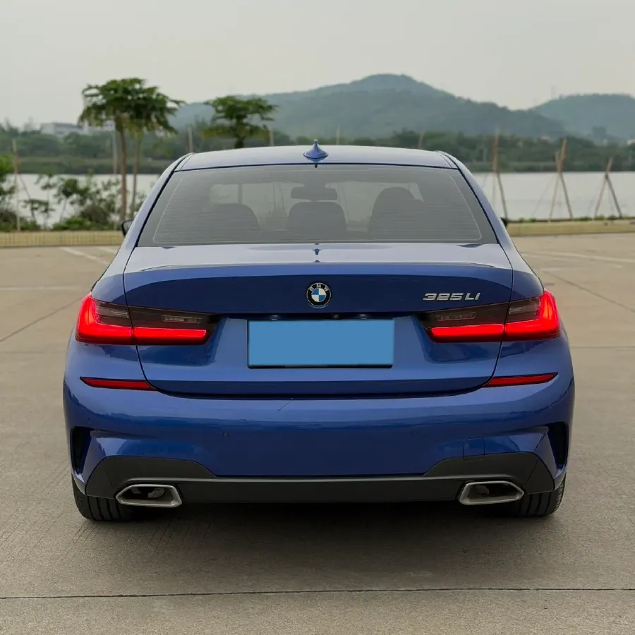 2020 BMW 3 Series 2.0T 184HP L4 8AT,autocango,china used car exporter,china ev exporter,chinese used car exporter,chinese used ev exporter