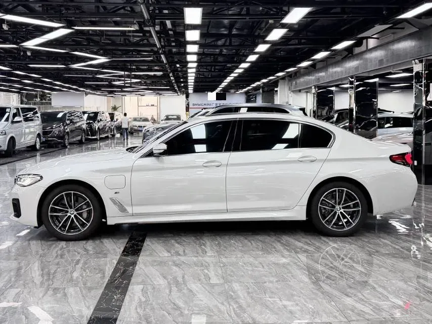 2021 BMW 5 Series 2.0T 184HP L4 8AT PHEV 17.7KWH,autocango,china used car exporter,china ev exporter,chinese used car exporter,chinese used ev exporter