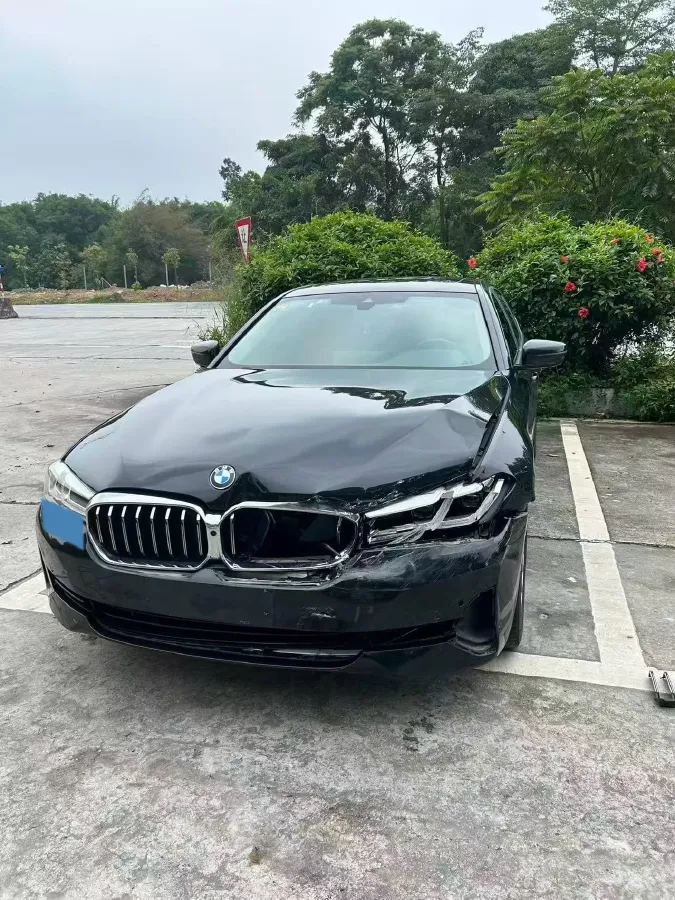 2021 BMW 5 Series 2.0T 184HP L4 8AT,autocango,china used car exporter,china ev exporter,chinese used car exporter,chinese used ev exporter