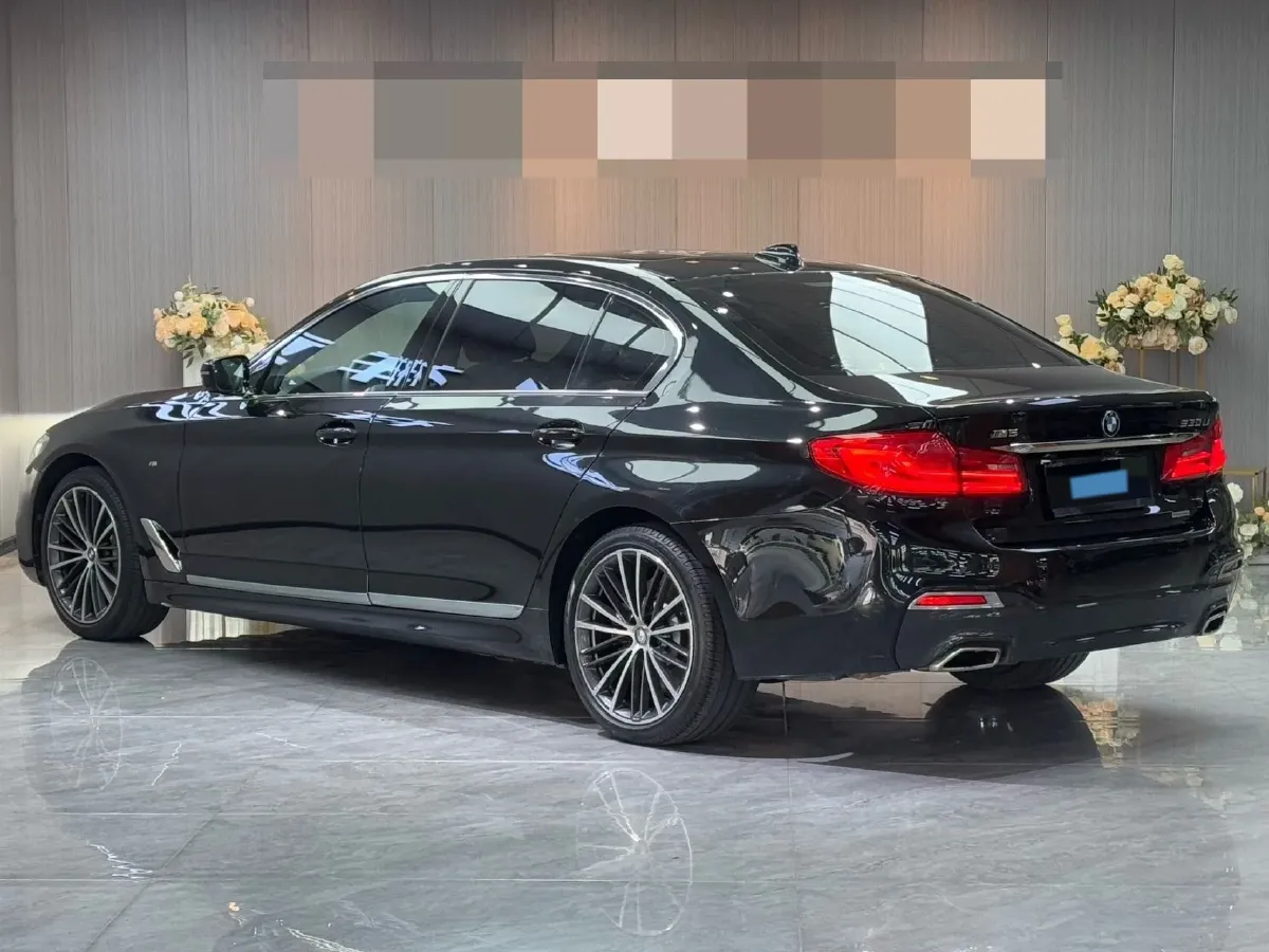 2019 BMW 5 Series 2.0T 252HP L4 8AT,autocango,china used car exporter,china ev exporter,chinese used car exporter,chinese used ev exporter