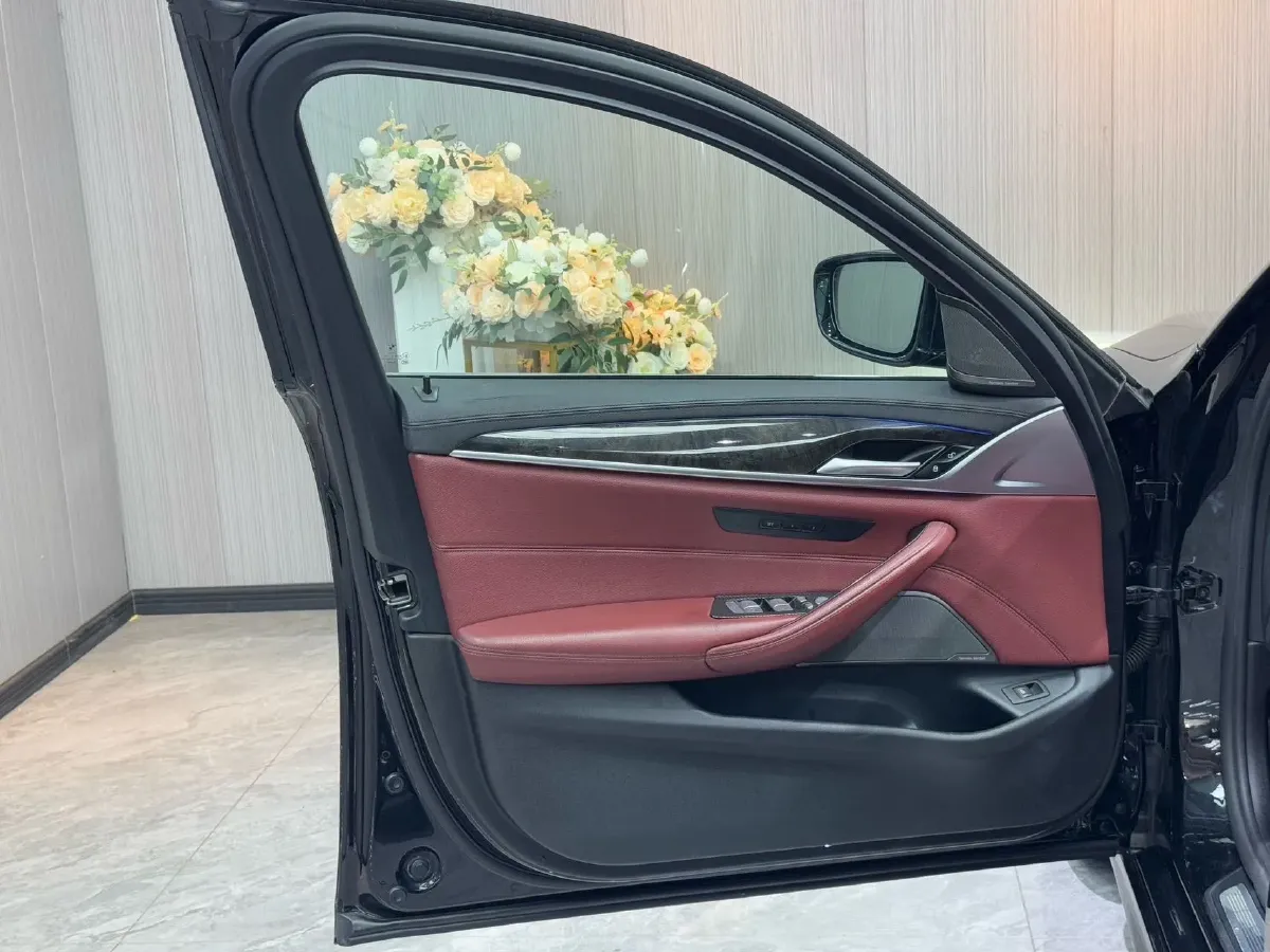 2019 BMW 5 Series 2.0T 252HP L4 8AT,autocango,china used car exporter,china ev exporter,chinese used car exporter,chinese used ev exporter