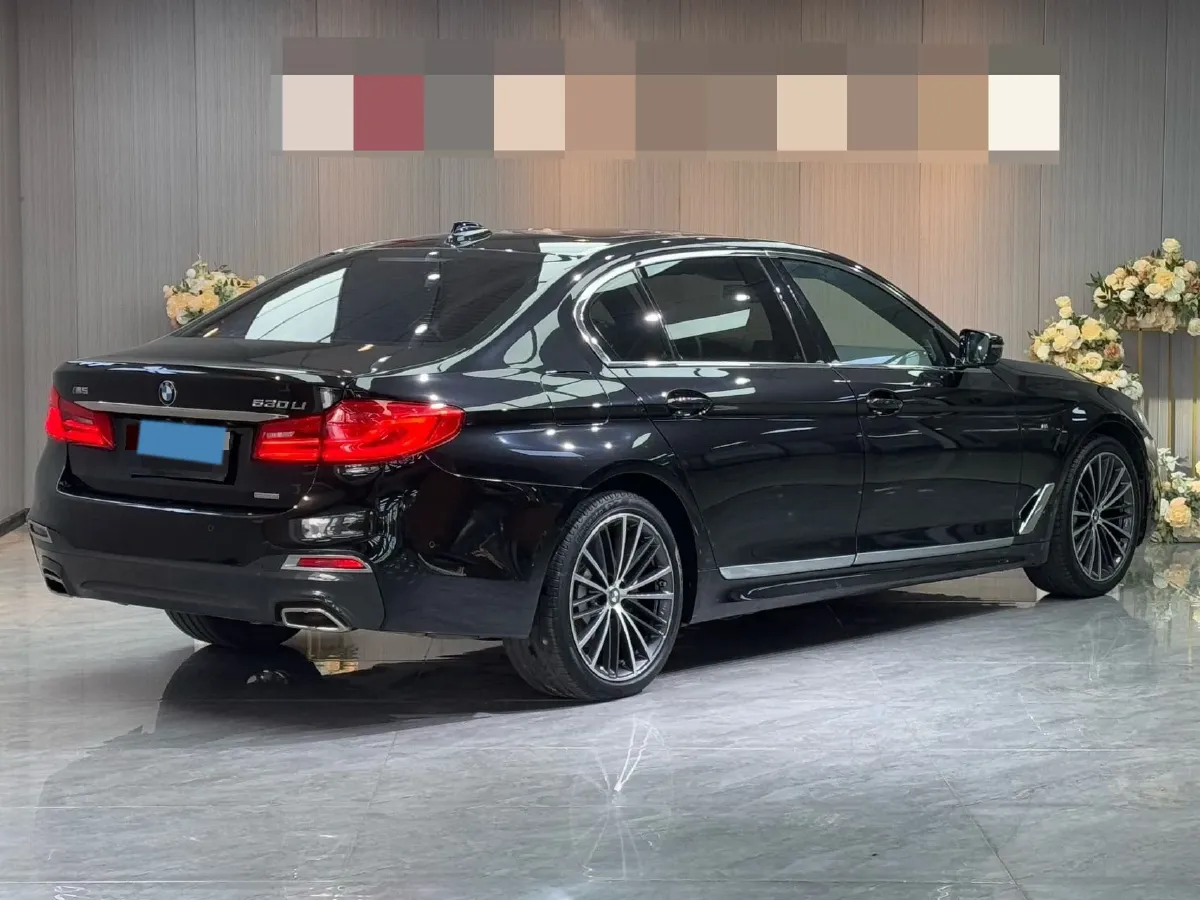 2019 BMW 5 Series 2.0T 252HP L4 8AT,autocango,china used car exporter,china ev exporter,chinese used car exporter,chinese used ev exporter