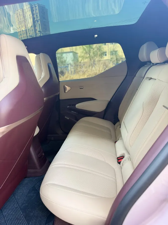 2025 Zeekr X BEV 66KWH,autocango,china used car exporter,china ev exporter,chinese used car exporter,chinese used ev exporter