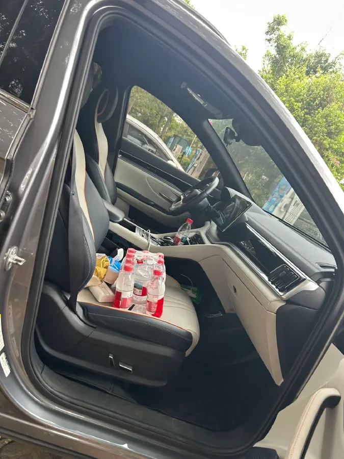 2021 BYD Qin BEV 53.56KWH,autocango,china used car exporter,china ev exporter,chinese used car exporter,chinese used ev exporter