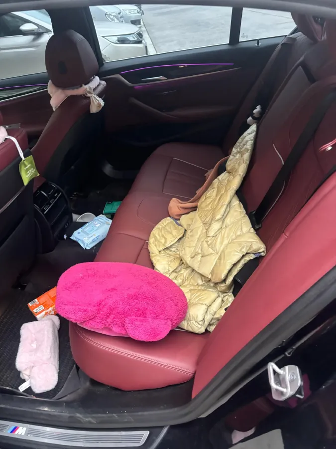 2022 BMW 5 Series 2.0T 184HP L4 8AT,autocango,china used car exporter,china ev exporter,chinese used car exporter,chinese used ev exporter