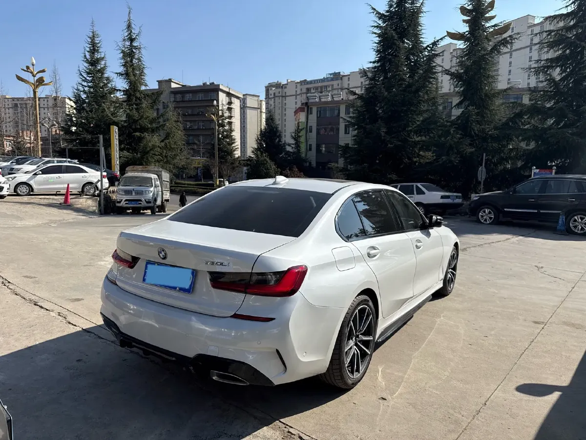 2021 BMW 3 Series 2.0T 184HP L4 8AT,autocango,china used car exporter,china ev exporter,chinese used car exporter,chinese used ev exporter