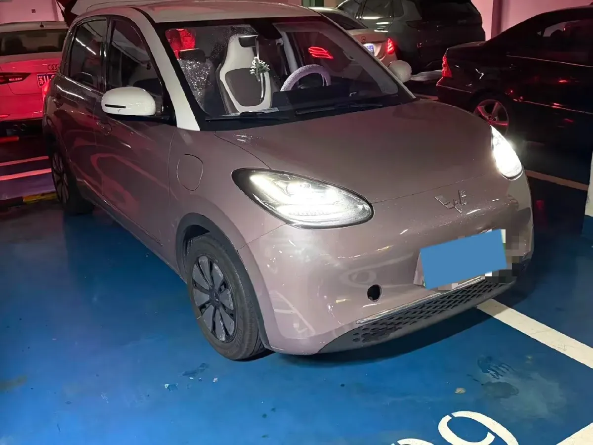 2023 WuLing BinGuo BEV 31.9KWH,autocango,china used car exporter,china ev exporter,chinese used car exporter,chinese used ev exporter