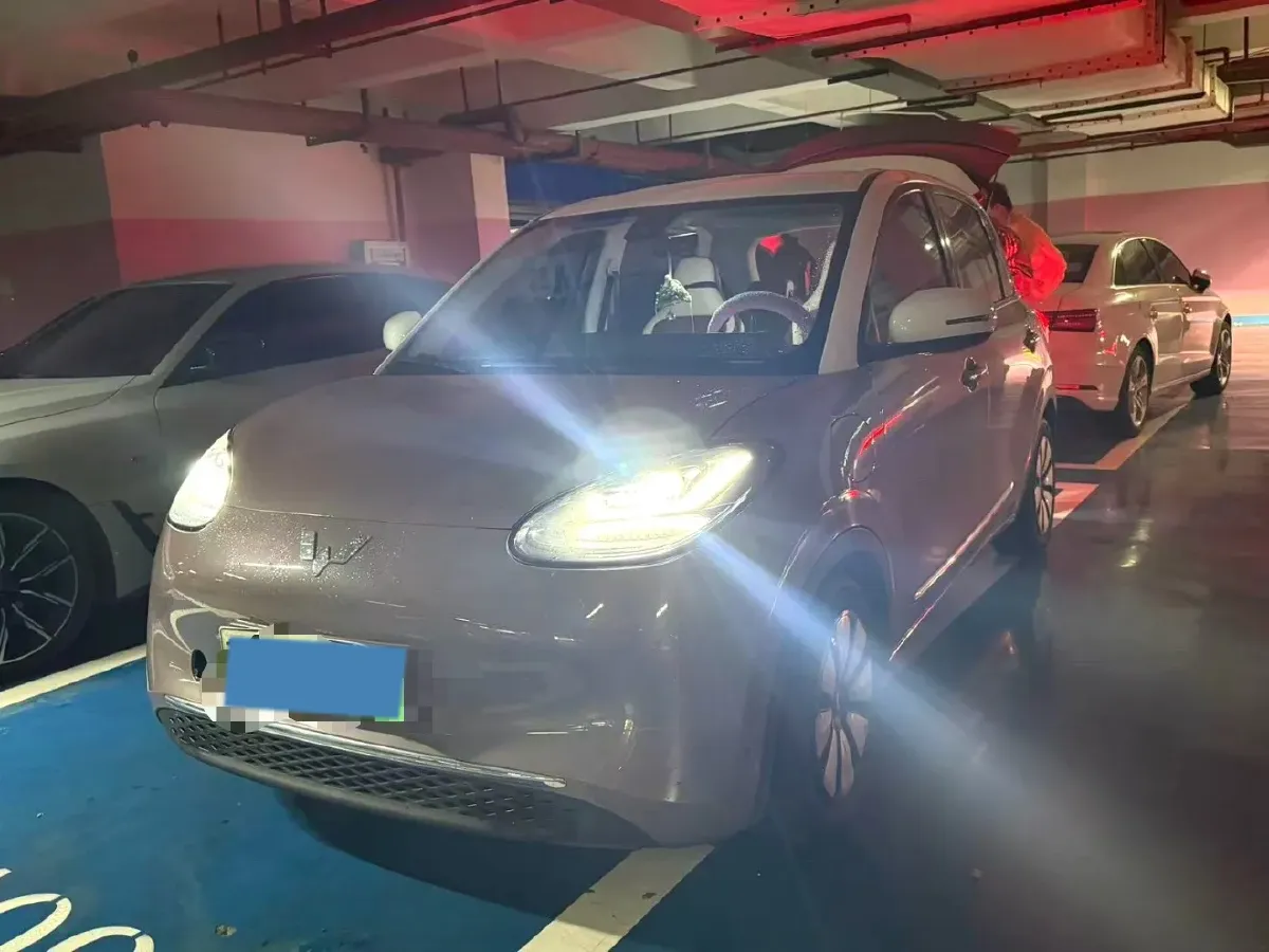 2023 WuLing BinGuo BEV 31.9KWH,autocango,china used car exporter,china ev exporter,chinese used car exporter,chinese used ev exporter