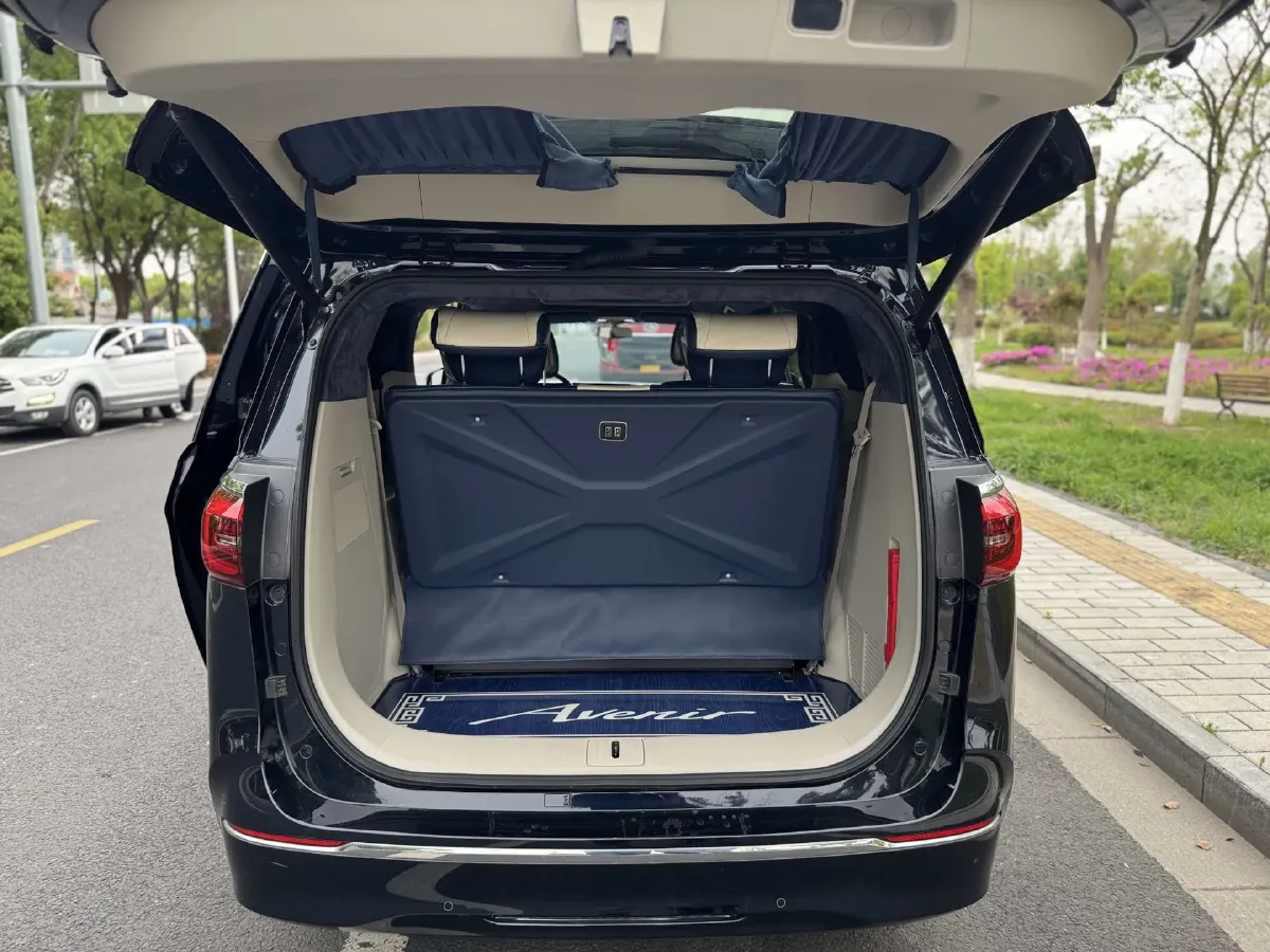 2022 Buick GL8 2.0T 237HP L4 9AT,autocango,china used car exporter,china ev exporter,chinese used car exporter,chinese used ev exporter