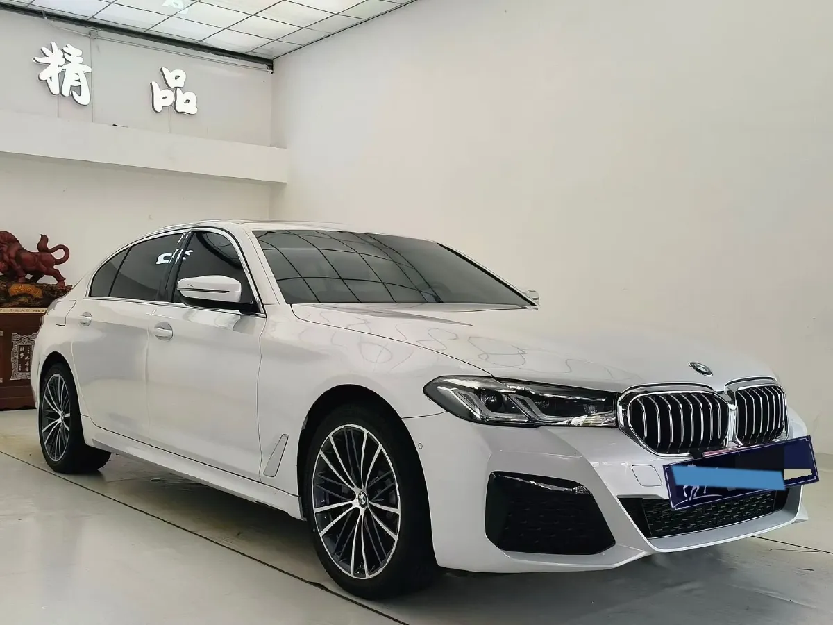 2022 BMW 5 Series 2.0T 252HP L4 8AT,autocango,china used car exporter,china ev exporter,chinese used car exporter,chinese used ev exporter
