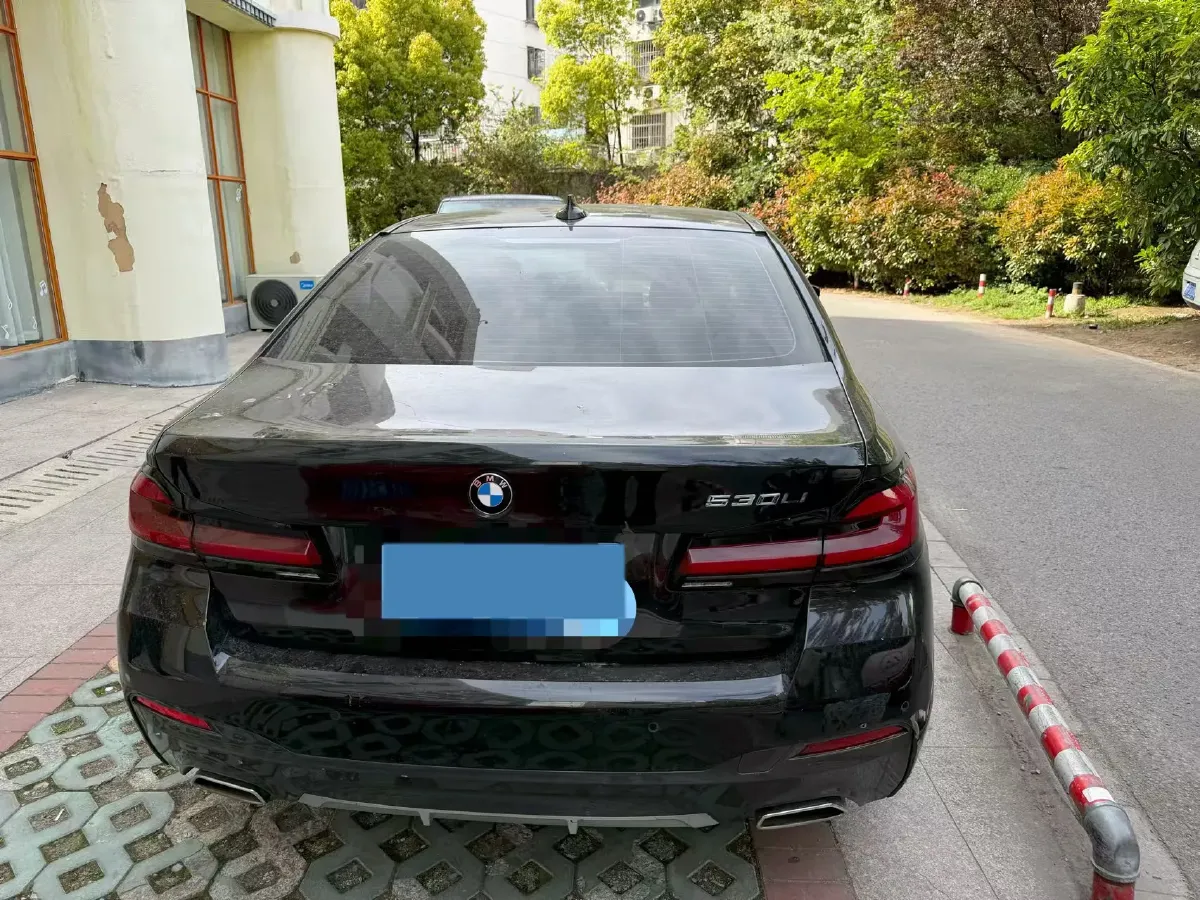 2021 BMW 5 Series 2.0T 184HP L4 8AT,autocango,china used car exporter,china ev exporter,chinese used car exporter,chinese used ev exporter