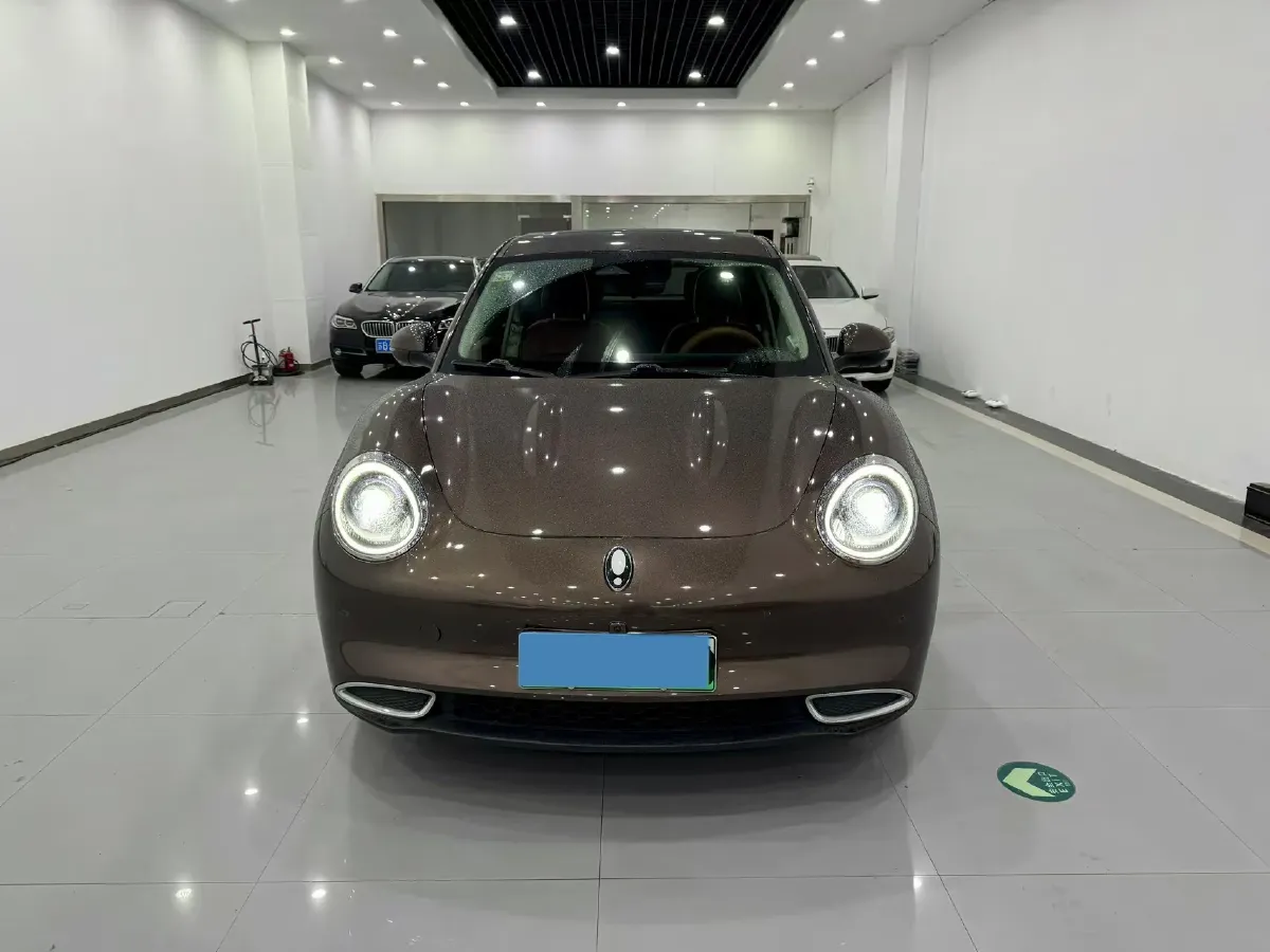 2021 Ora FunkyCat BEV 45.99KWH,autocango,china used car exporter,china ev exporter,chinese used car exporter,chinese used ev exporter