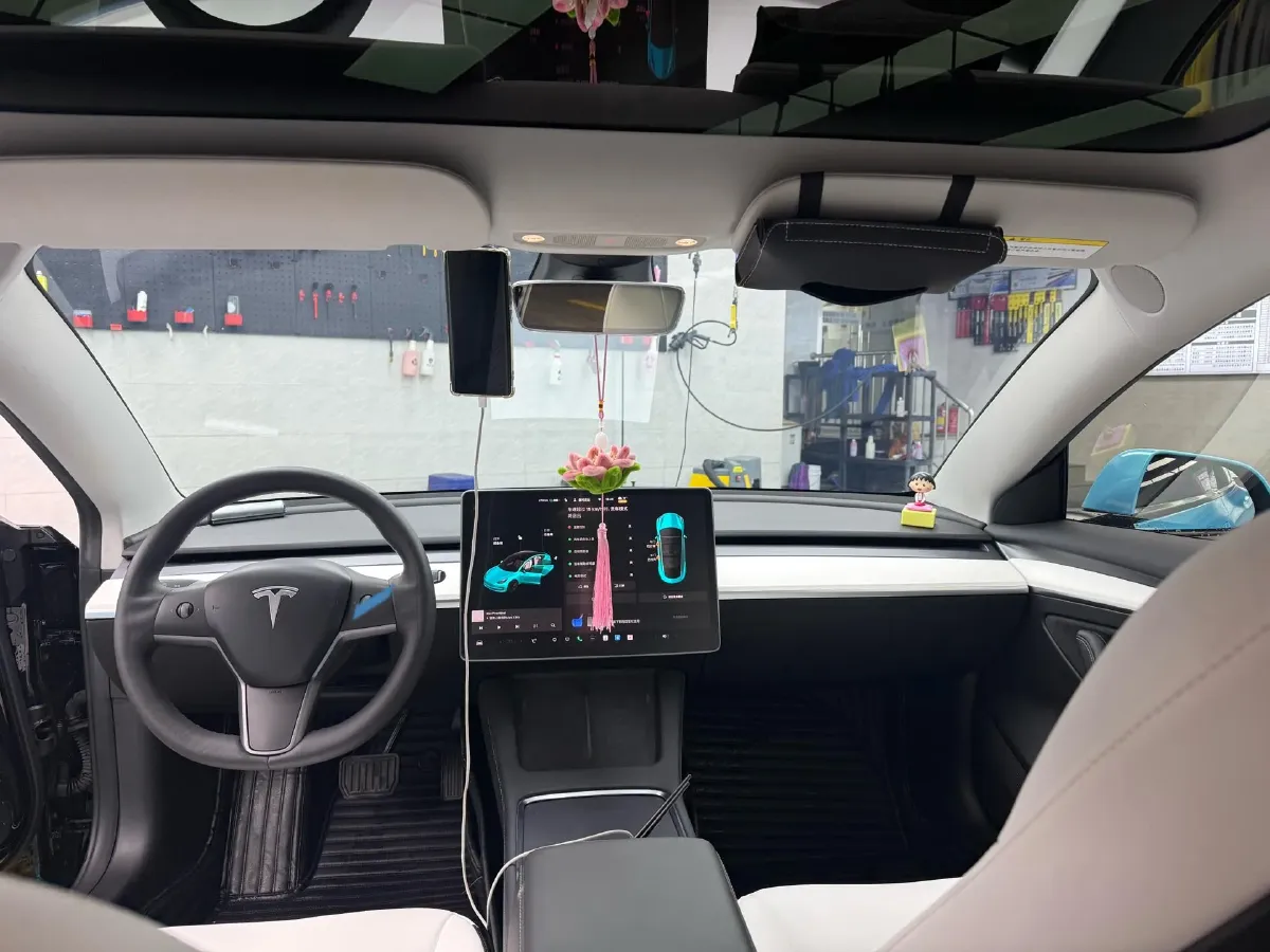 2021 Tesla Model 3 BEV 55KWH,autocango,china used car exporter,china ev exporter,chinese used car exporter,chinese used ev exporter