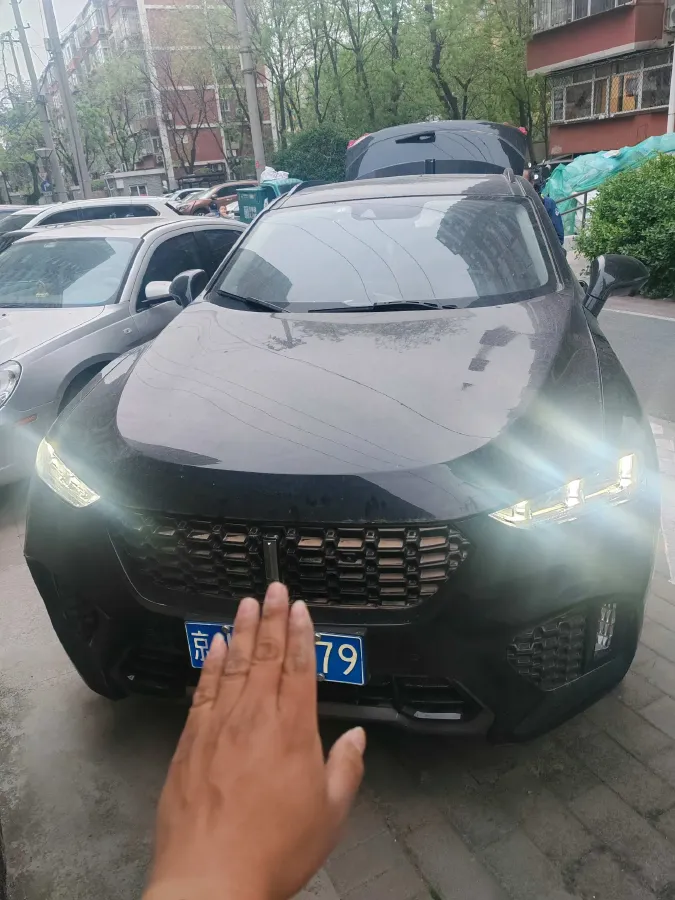 2019 WEY VV7 2.0T 234HP L4 7DCT,autocango,china used car exporter,china ev exporter,chinese used car exporter,chinese used ev exporter