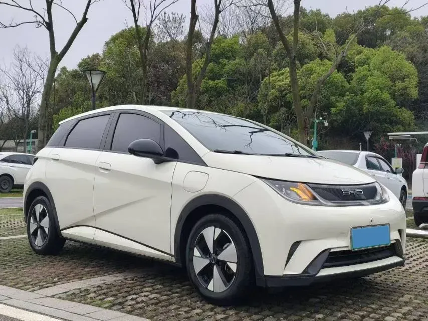 2023 BYD Dolphin BEV 44.928KWH,autocango,china used car exporter,china ev exporter,chinese used car exporter,chinese used ev exporter