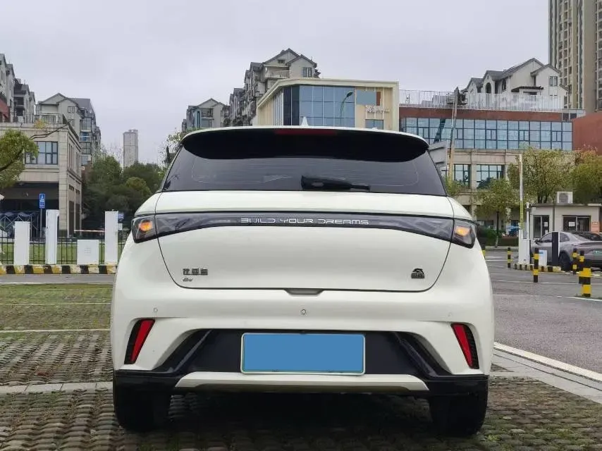 2023 BYD Dolphin BEV 44.928KWH,autocango,china used car exporter,china ev exporter,chinese used car exporter,chinese used ev exporter