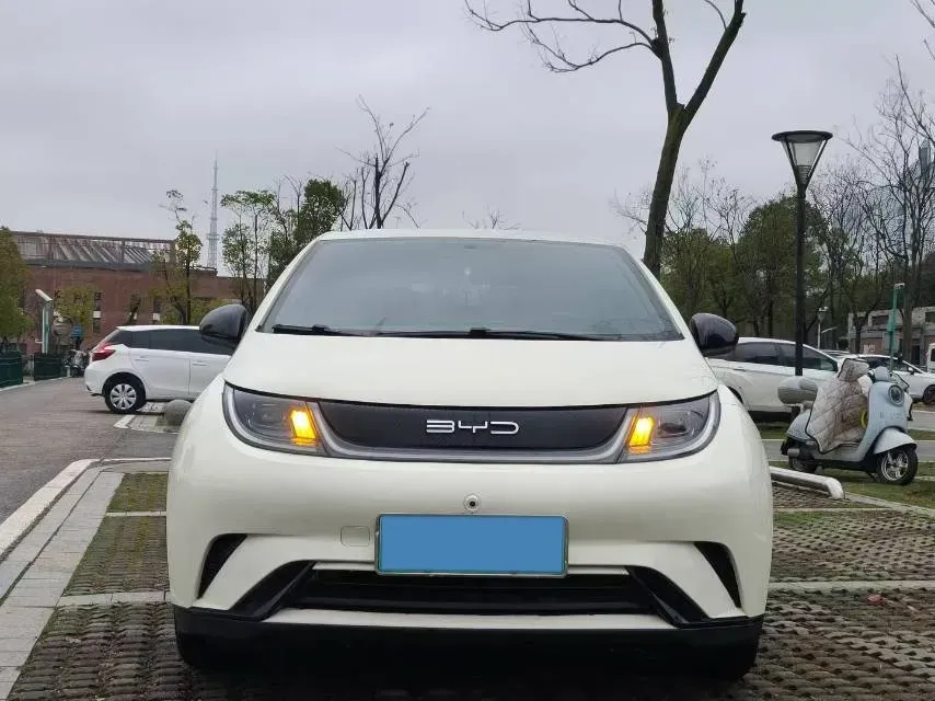 2023 BYD Dolphin BEV 44.928KWH,autocango,china used car exporter,china ev exporter,chinese used car exporter,chinese used ev exporter