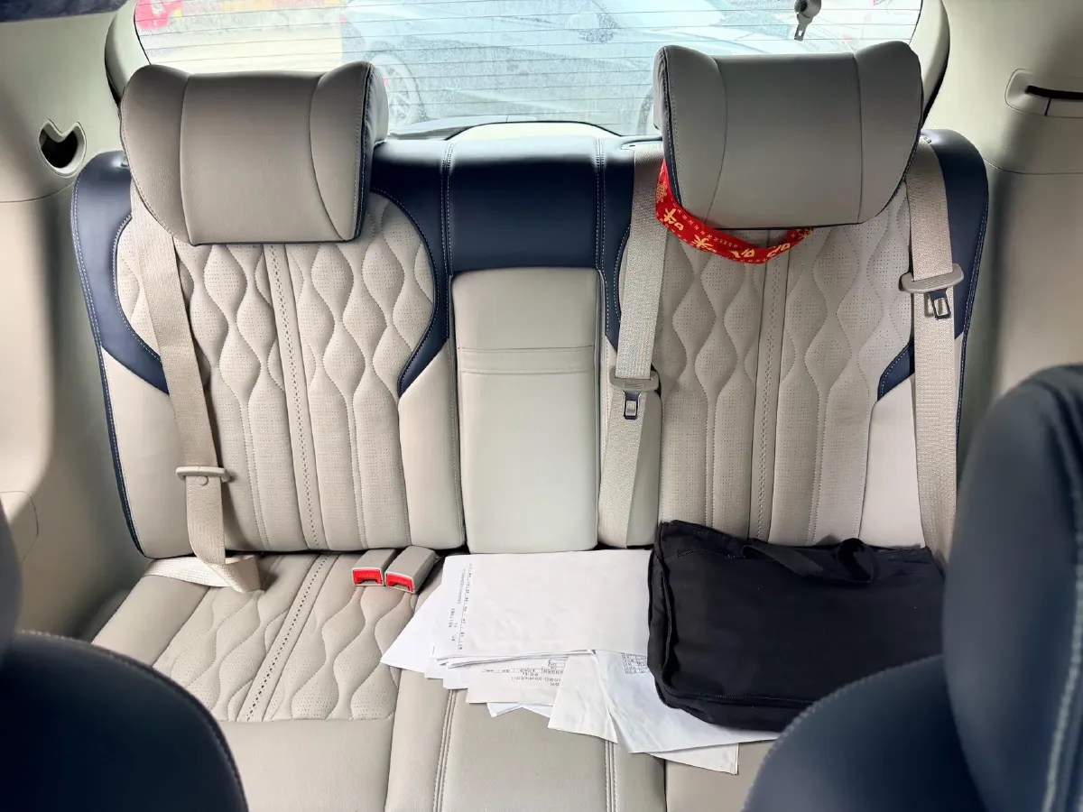 2020 Buick GL8 2.0T 237HP L4 9AT,autocango,china used car exporter,china ev exporter,chinese used car exporter,chinese used ev exporter