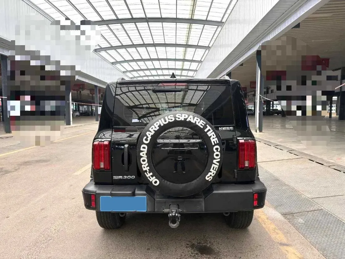 2024 Tank 300 2.0T 227HP L4 8AT,autocango,china used car exporter,china ev exporter,chinese used car exporter,chinese used ev exporter