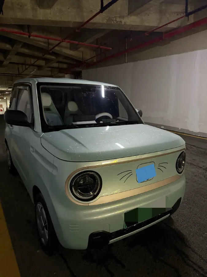 2023 Geely Galaxy Panda BEV 17.03KWH,autocango,china used car exporter,china ev exporter,chinese used car exporter,chinese used ev exporter