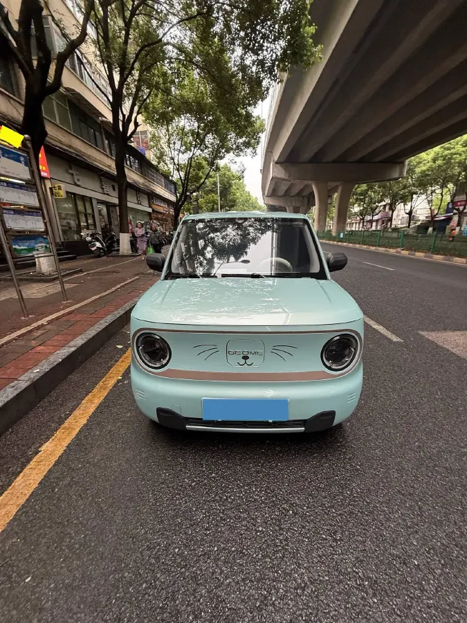 2023 Geely Galaxy Panda BEV 17.03KWH,autocango,china used car exporter,china ev exporter,chinese used car exporter,chinese used ev exporter