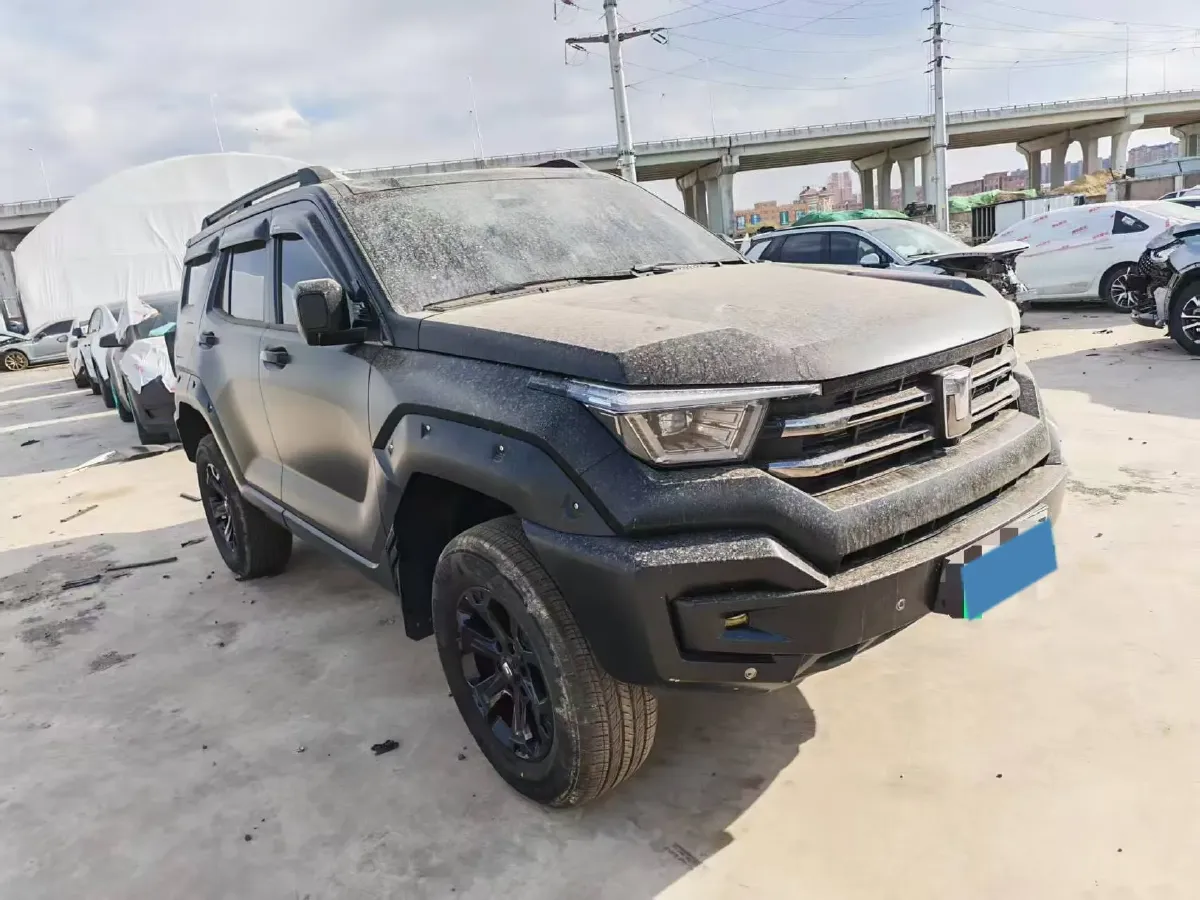 2023 Tank 400 2.0T 252HP L4 9AT PHEV 37.1KWH,autocango,china used car exporter,china ev exporter,chinese used car exporter,chinese used ev exporter