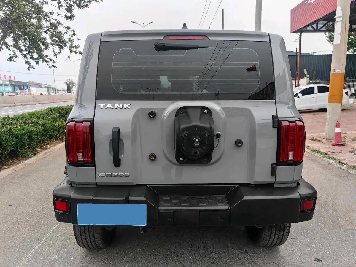 2021 Tank 300 2.0T 227HP L4 8AT,autocango,china used car exporter,china ev exporter,chinese used car exporter,chinese used ev exporter