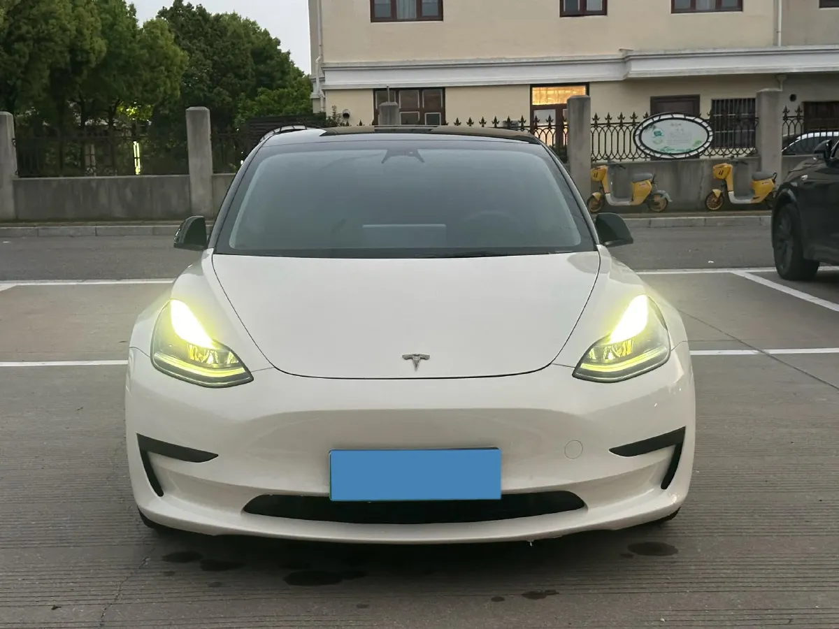 2021 Tesla Model 3 BEV 55KWH,autocango,china used car exporter,china ev exporter,chinese used car exporter,chinese used ev exporter