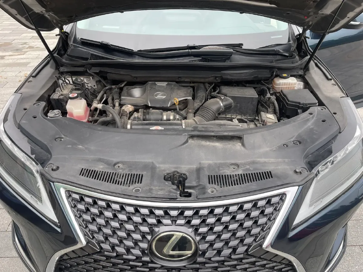 2020 Lexus RX 2.0T 231HP L4 6AT,autocango,china used car exporter,china ev exporter,chinese used car exporter,chinese used ev exporter