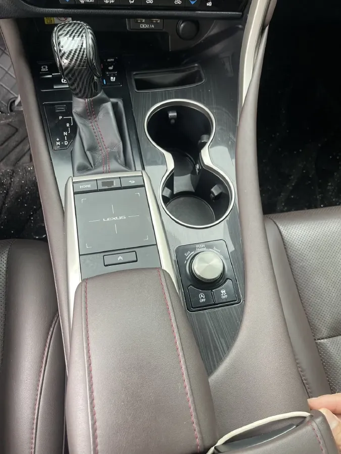 2020 Lexus RX 2.0T 231HP L4 6AT,autocango,china used car exporter,china ev exporter,chinese used car exporter,chinese used ev exporter