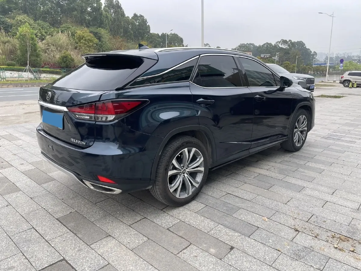 2020 Lexus RX 2.0T 231HP L4 6AT,autocango,china used car exporter,china ev exporter,chinese used car exporter,chinese used ev exporter