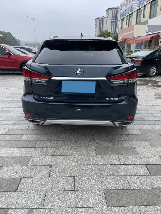 2020 Lexus RX 2.0T 231HP L4 6AT,autocango,china used car exporter,china ev exporter,chinese used car exporter,chinese used ev exporter