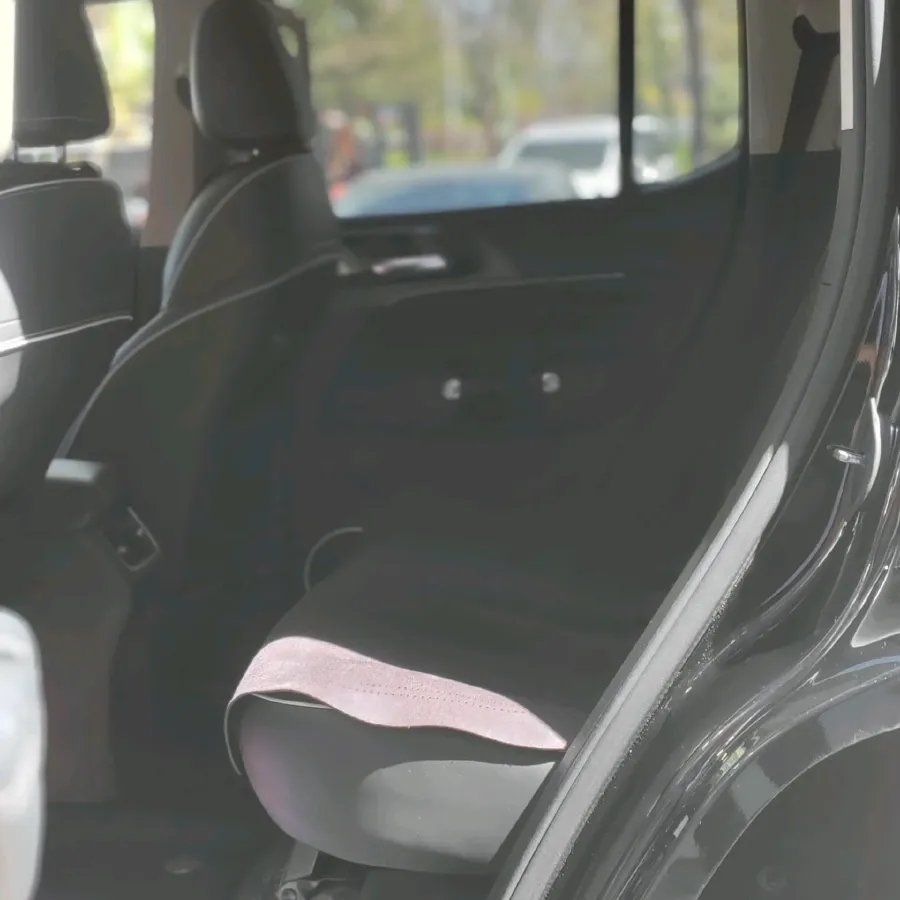 2021 Tank 300 2.0T 227HP L4 8AT,autocango,china used car exporter,china ev exporter,chinese used car exporter,chinese used ev exporter