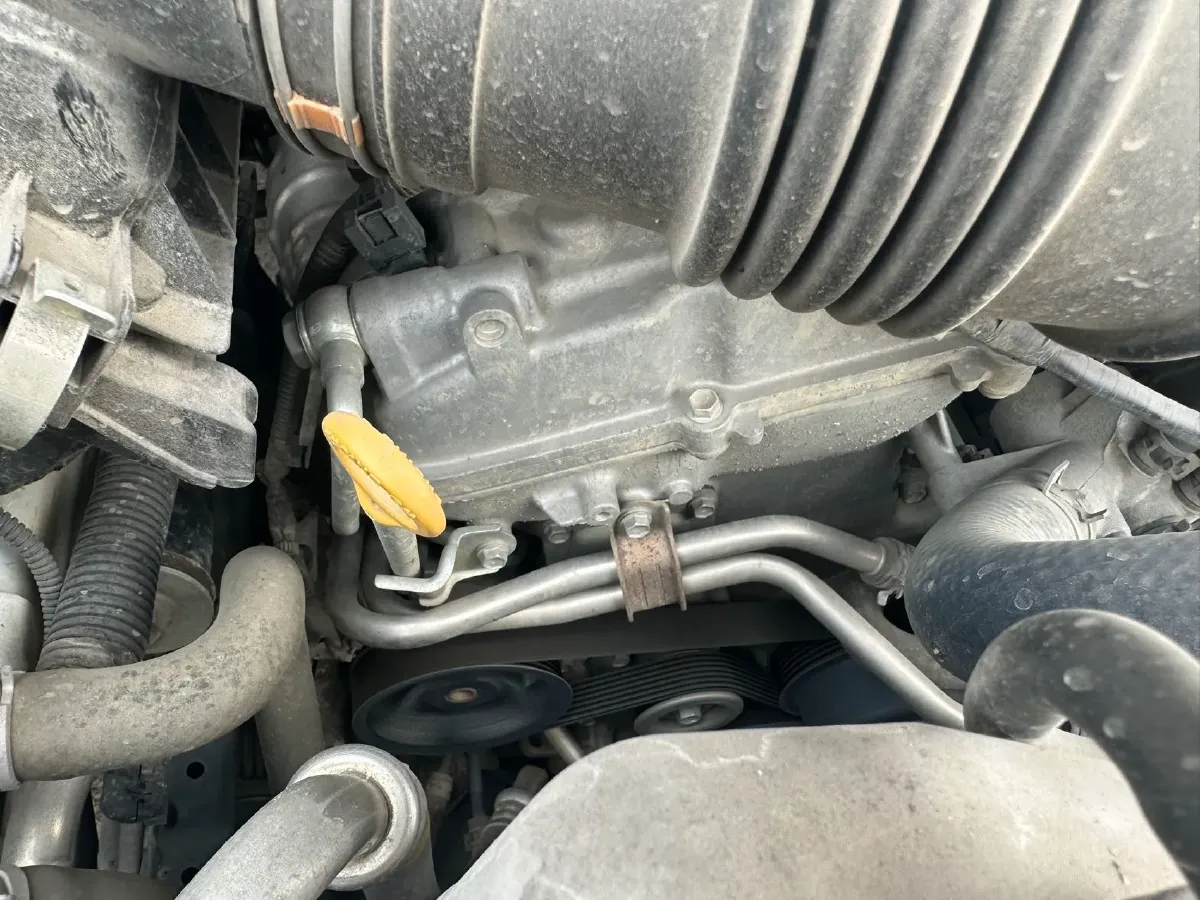 2015 Saleen Mustang 2.3T 350HP L4 6AT,autocango,china used car exporter,china ev exporter,chinese used car exporter,chinese used ev exporter