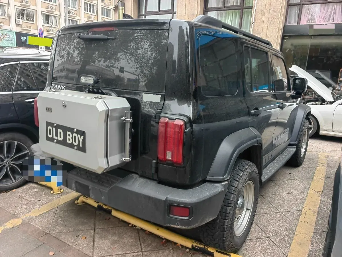 2021 Tank 300 2.0T 227HP L4 8AT,autocango,china used car exporter,china ev exporter,chinese used car exporter,chinese used ev exporter