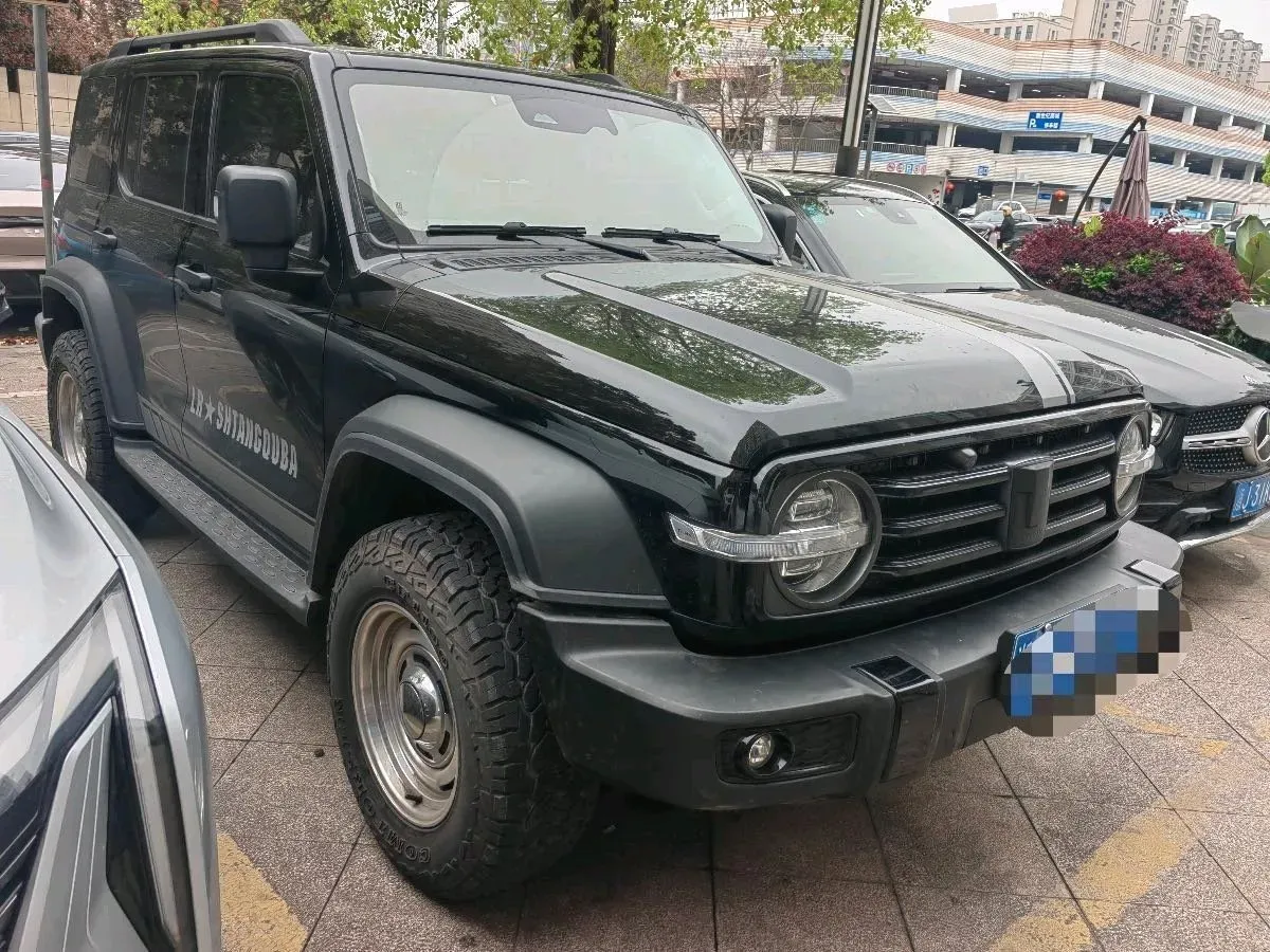 2021 Tank 300 2.0T 227HP L4 8AT,autocango,china used car exporter,china ev exporter,chinese used car exporter,chinese used ev exporter