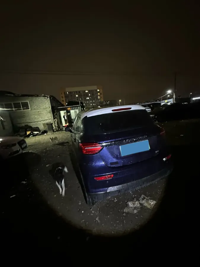 2020 Leapmotor T03 BEV 38KWH,autocango,china used car exporter,china ev exporter,chinese used car exporter,chinese used ev exporter