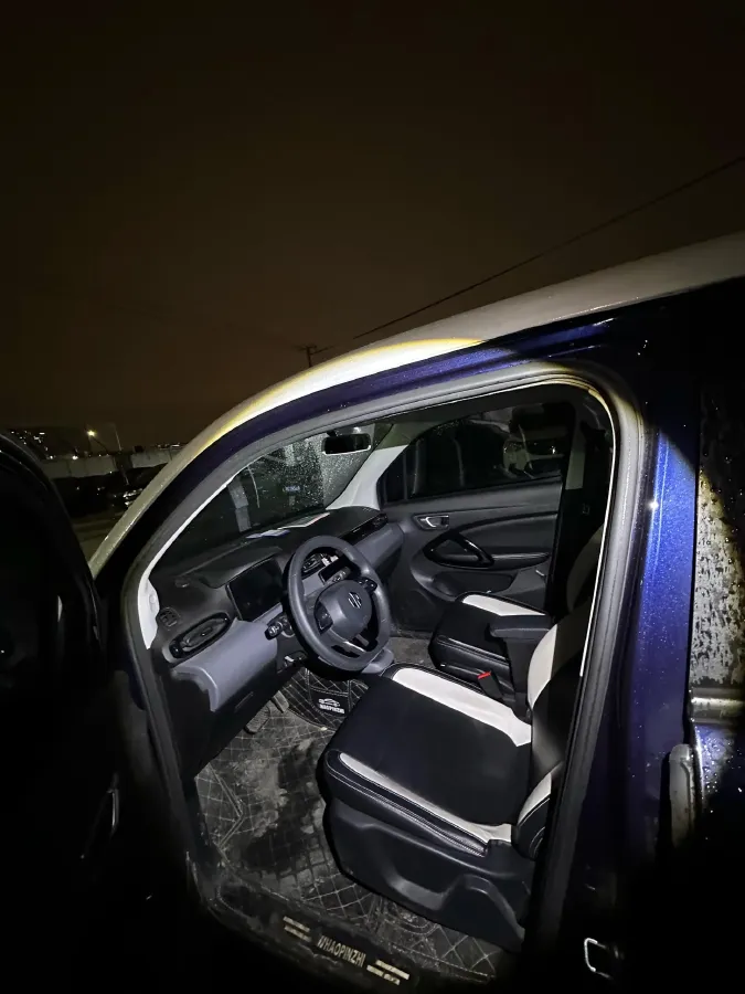 2020 Leapmotor T03 BEV 38KWH,autocango,china used car exporter,china ev exporter,chinese used car exporter,chinese used ev exporter