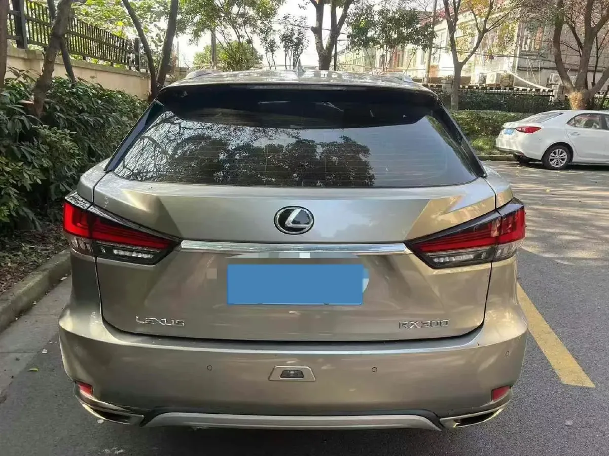 2020 Lexus RX 2.0T 231HP L4 6AT,autocango,china used car exporter,china ev exporter,chinese used car exporter,chinese used ev exporter