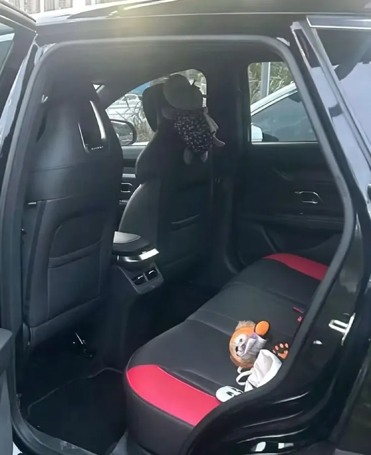 2022 Jetour DASHING 1.6T 197HP L4 7DCT,autocango,china used car exporter,china ev exporter,chinese used car exporter,chinese used ev exporter