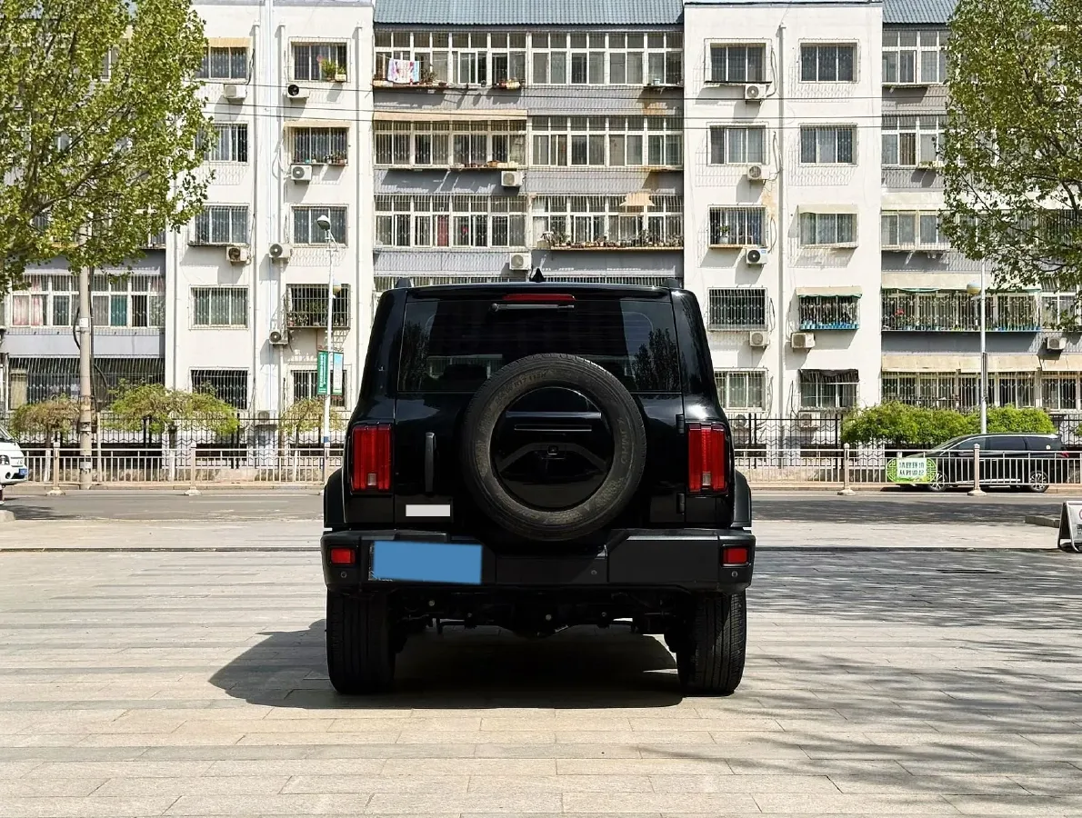 2021 Tank 300 2.0T 227HP L4 8AT,autocango,china used car exporter,china ev exporter,chinese used car exporter,chinese used ev exporter