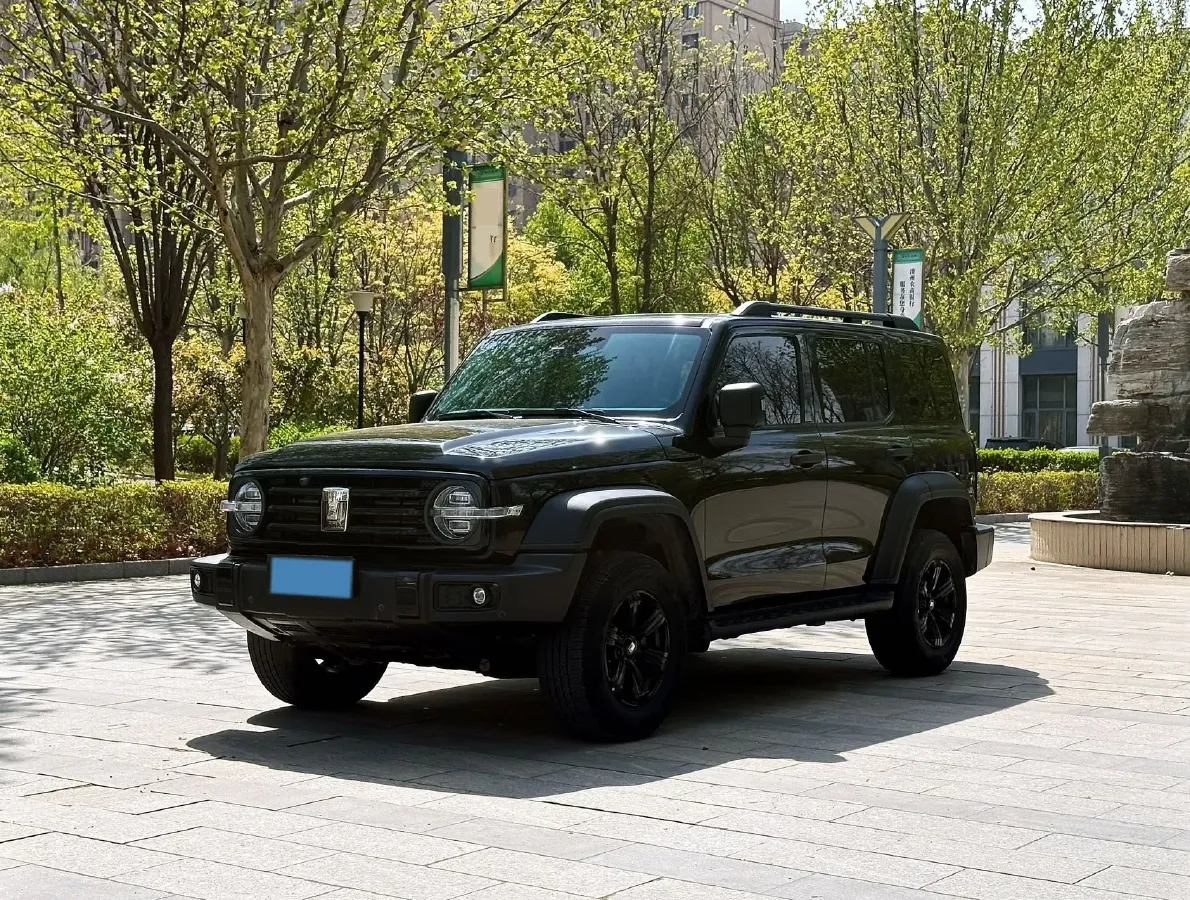 2021 Tank 300 2.0T 227HP L4 8AT,autocango,china used car exporter,china ev exporter,chinese used car exporter,chinese used ev exporter